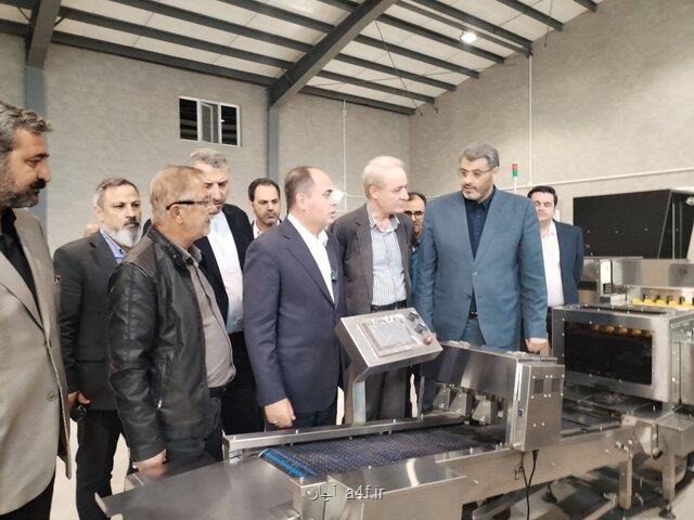 وزیر جهاد کشاورزی از دو طرح کشاورزی در ورامین بازدید کرد